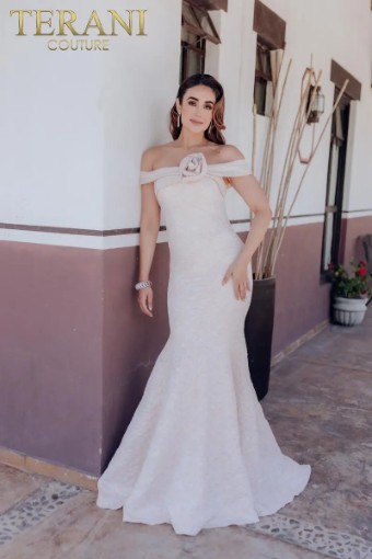 Terani Off Shoulder Mermaid Pleated Neckline Long Dress – 232M1519 #0 Blush Powder Blue champane thumbnail