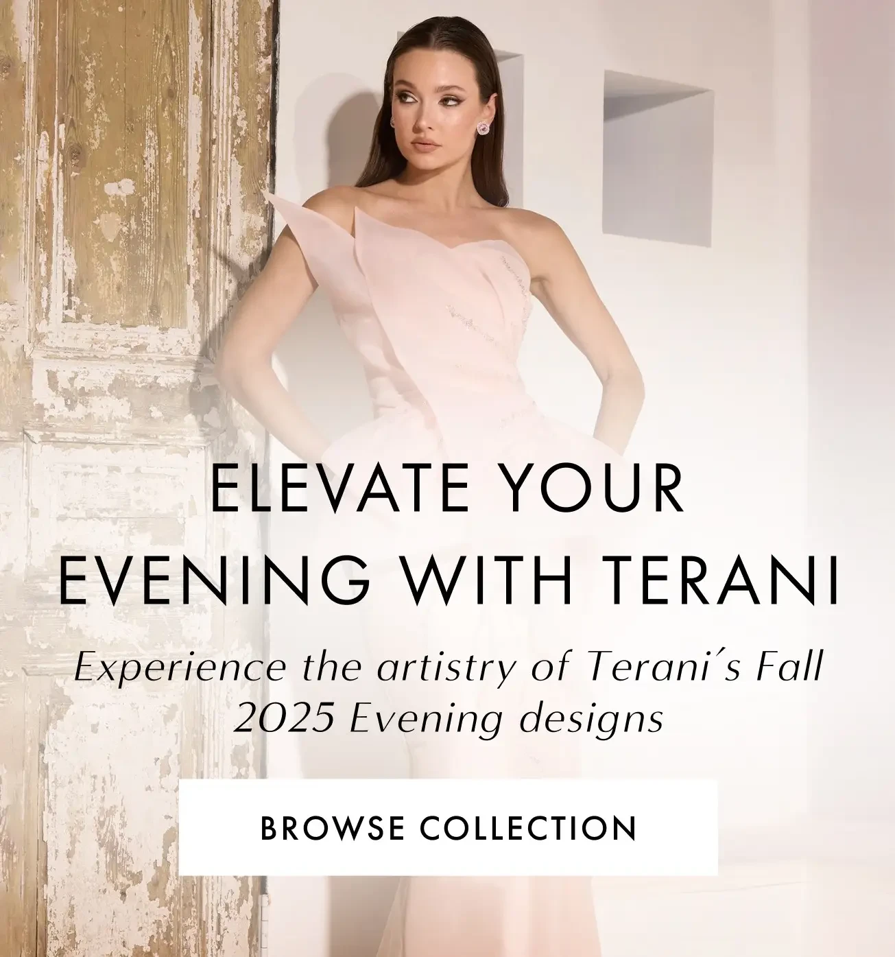 Terani Fall 2025 Evening banner for mobile